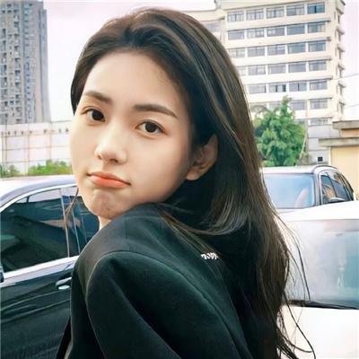 布里斯比熊